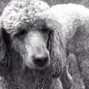 Troy Brainerd - @coolfool88 - Twitter