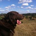 Tim Brooks - @MaxChocLab - Twitter