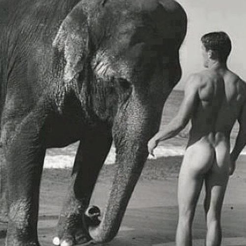 charlesdavry's profile picture. 