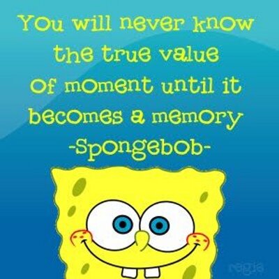 Spongebob Quotes (@QuotesSpongey) / X