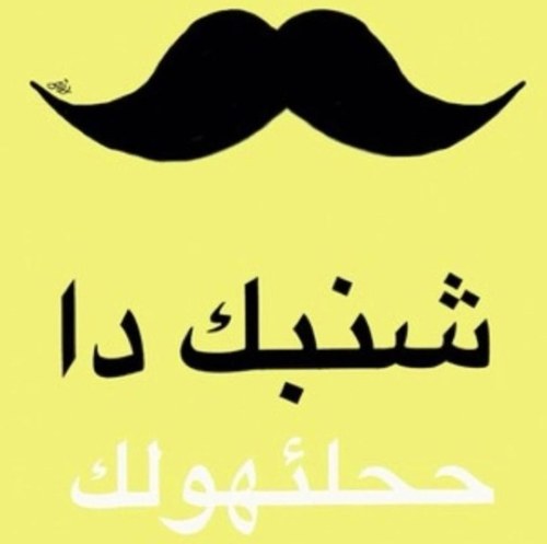 thesaudireporte's profile picture. 