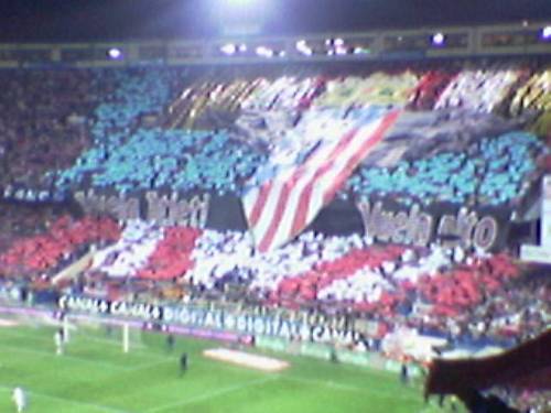 jcnoves79's profile picture. Manzagato y orgulloso Manchego. Rojiblanco hasta la médula