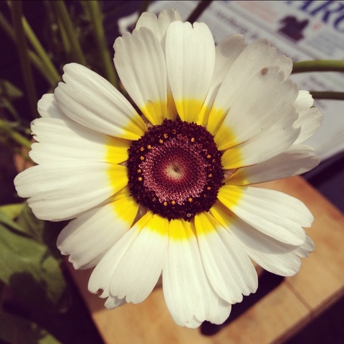 fmunnik's profile picture. 