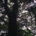 Sapopema frases e natureza (@sapopemafrases) Twitter profile photo Sapopema frases e natureza (@sapopemafrases) Twitter profile photo