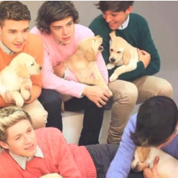 2 girls who love One Direction until the end. Personals: @Kirsten_143_ & @Love4Harry_S. We do imagines and will post the latest pics and news. ∞ loving TMH