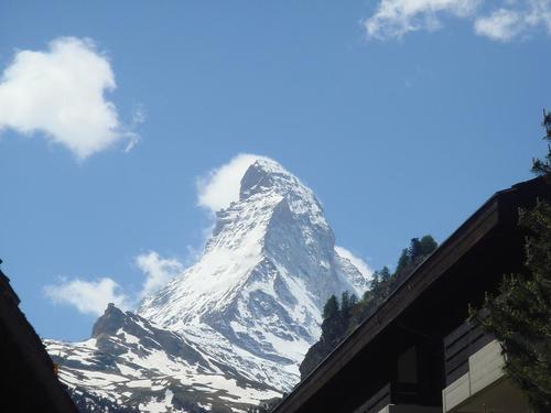 sawastea's profile picture. 