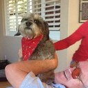 mario miscavish - @miscavish - Twitter