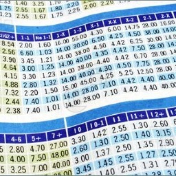 Long time gambler with the formula for success. Acquired a natural skill with sports betting over the years working the sidelines of countless sporting events.