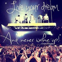 ‎2 ans, 2 albums, plus de 32 chansons, 3 livres, plus de 59 Awards, 3 record du monde, 1 Film, 6 clips, 4 tours, 65 tatouages: One Direction.