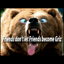 Terry Thayer - @trathayer - Twitter