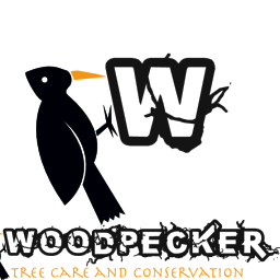 WoodpeckerTrees's profile picture. Woodpecker Tree Care and Conservation, Caring For Trees Present & Future.