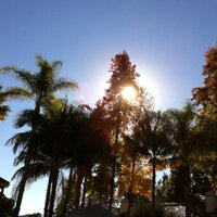 joris de ceuster (@deceusterjoris) 's Twitter Profile