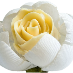 Chrysantabr's profile picture. 