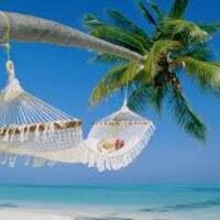 Social Travel Media (@social_travel_) 's Twitter Profile