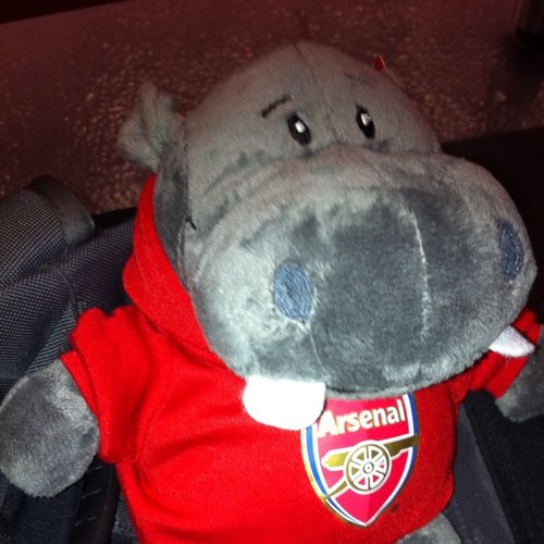 SophieGooner's profile picture. Gooner. Scientist. Volunteer. ‘Mildly’ obsessed with: Hippos, Lego, Arsenal FC, Harry Potter, Star Wars & Grogu. Love to travel.
