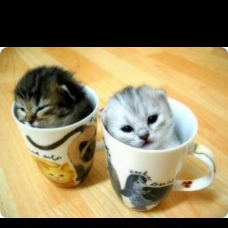 WeHeartItStuff's profile picture. Promoot ons en je kan random tweeten op dit account'