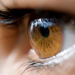 “No se ve bien sino con el corazón, lo esencial es invisible a los ojos”. (Maquilladora pol-ka producciones)