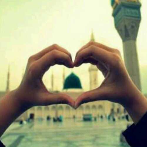 المدينة المنورة