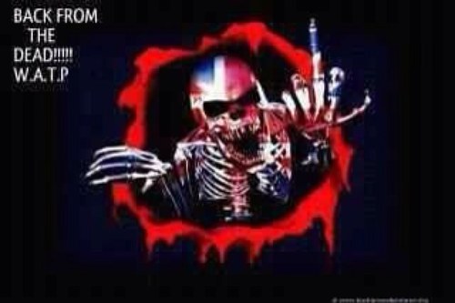 gers998's profile picture. gers998