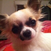Mike 🇮🇱 (@mipery) 's Twitter Profile