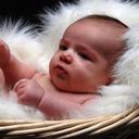 abelardo juarez cruz - @abelardojuarezc - Twitter