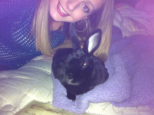 I is a rex or mini rex bun, rescued, and a girl! I wuvs food 3