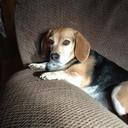 Sabra Smith - @ViewFromTheLu - Twitter