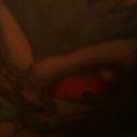Jay Riel-1 (@jayriel1) 's Twitter Profile