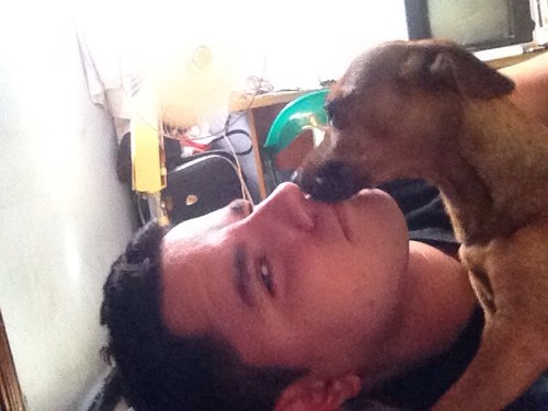 #perrolover #EA #hashtag #Americanodecorazon