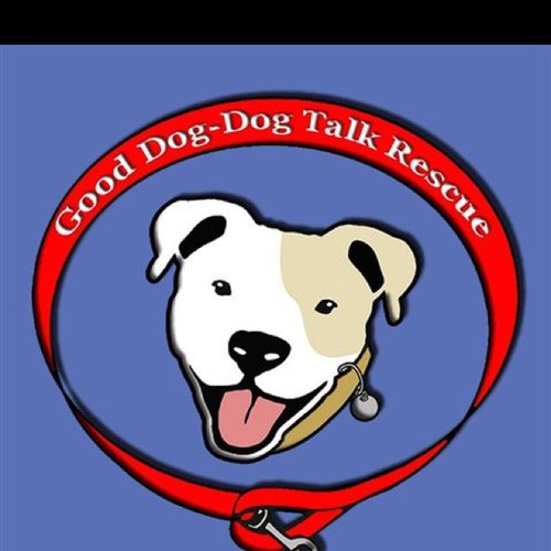 GoodDogDogTalkB's profile picture. 