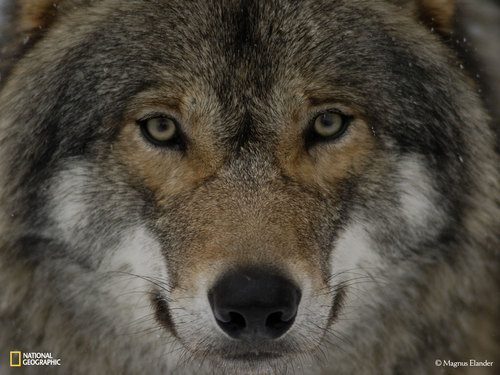 Xatrina's profile picture. Barn till två. Mamma till tre. Farmor till tre. Nyfiken på det mesta och lättrörd. Ibland argsint.