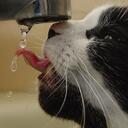 James Demuth - @7JPD - Twitter