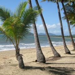 Tweeting about life and travel in Cairns, Queensland