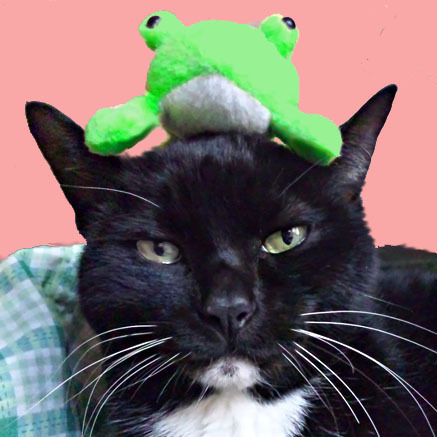 猫とドラゴンズ❗️😆が好き。ゴジラさんも好き。
能楽好きで狂言方 野村万蔵家に心酔しております。😍
勿体無くもお稽古つけていただいたりなんかも。😅

(=ﾟωﾟ=)(ΦωΦ) 猫は2匹