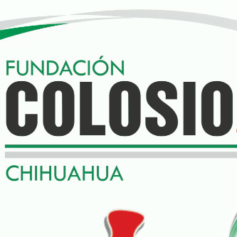 Movimiento Cibernauta de la Fundación Colosio Chihuahua Comité Directivo Estatal