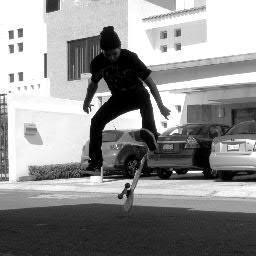 marco_shitstorm's profile picture. 