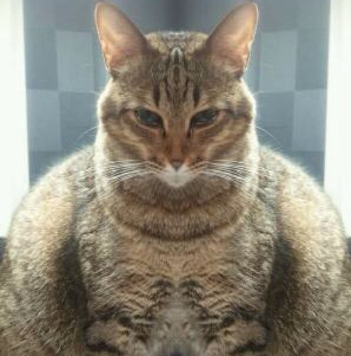 くすぶってます