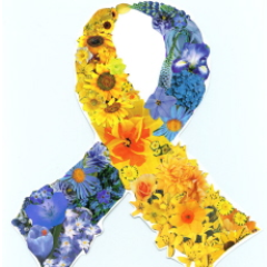 ACushieLife's profile picture. I am a Cushing's Disease survivor.  My hope is that by sharing the ups and downs of my journey, someone else may feel not so alone.