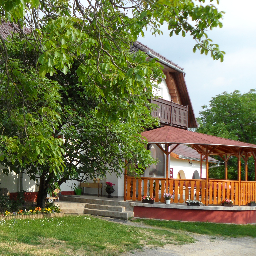 novakpince's profile picture. 