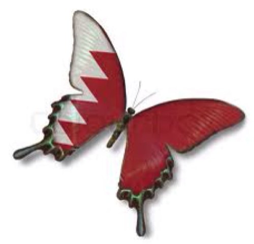 AbdulUm's profile picture. 