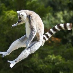 Lemurland