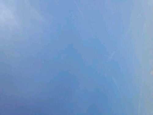 momoka_1021's profile picture. 