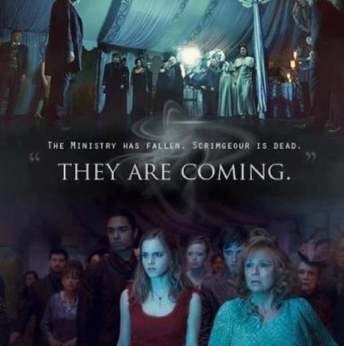 Gryfindor3 HarryPotterWillNEVERdie. ⚡ Potterhead&Proud!! Follow!! Potter is my pride! ALWAYS. Big7❤ PotterWontDie.