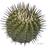 c_micheloni's profile image