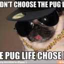 Jesse conner - @jes_tho_con - Twitter