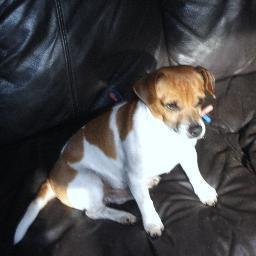 goodwin_grant's profile picture. 