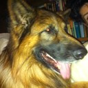 Michael Fabricius - @redsock711 - Twitter