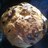 Miquel_Saborit's profile image