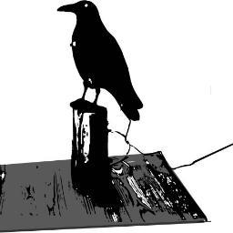 connecting our robot raven to the world wide web and let it be twitter between the lines of code in word and pictures...