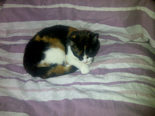 discworld12's profile picture. 